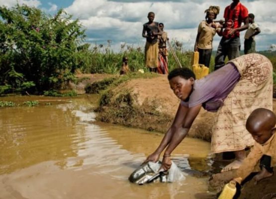 Desperate for Shelter and Clean Water