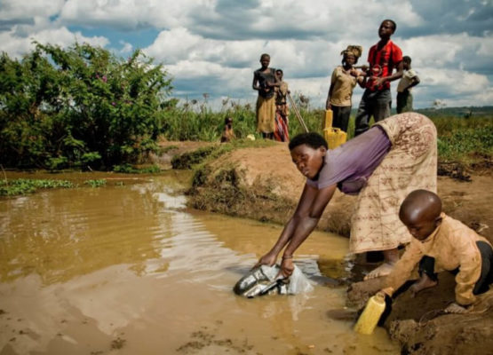 Desperate for Shelter and Clean Water